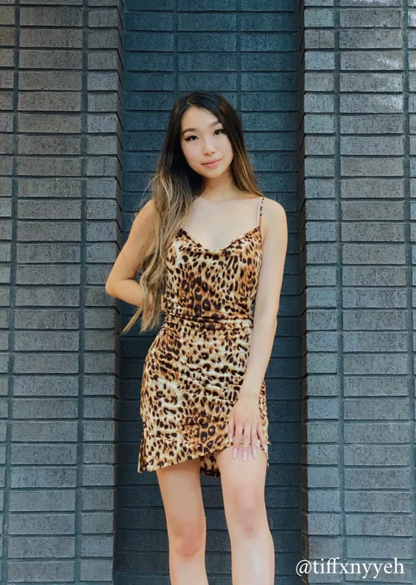Bethany Leopard Mini Dress