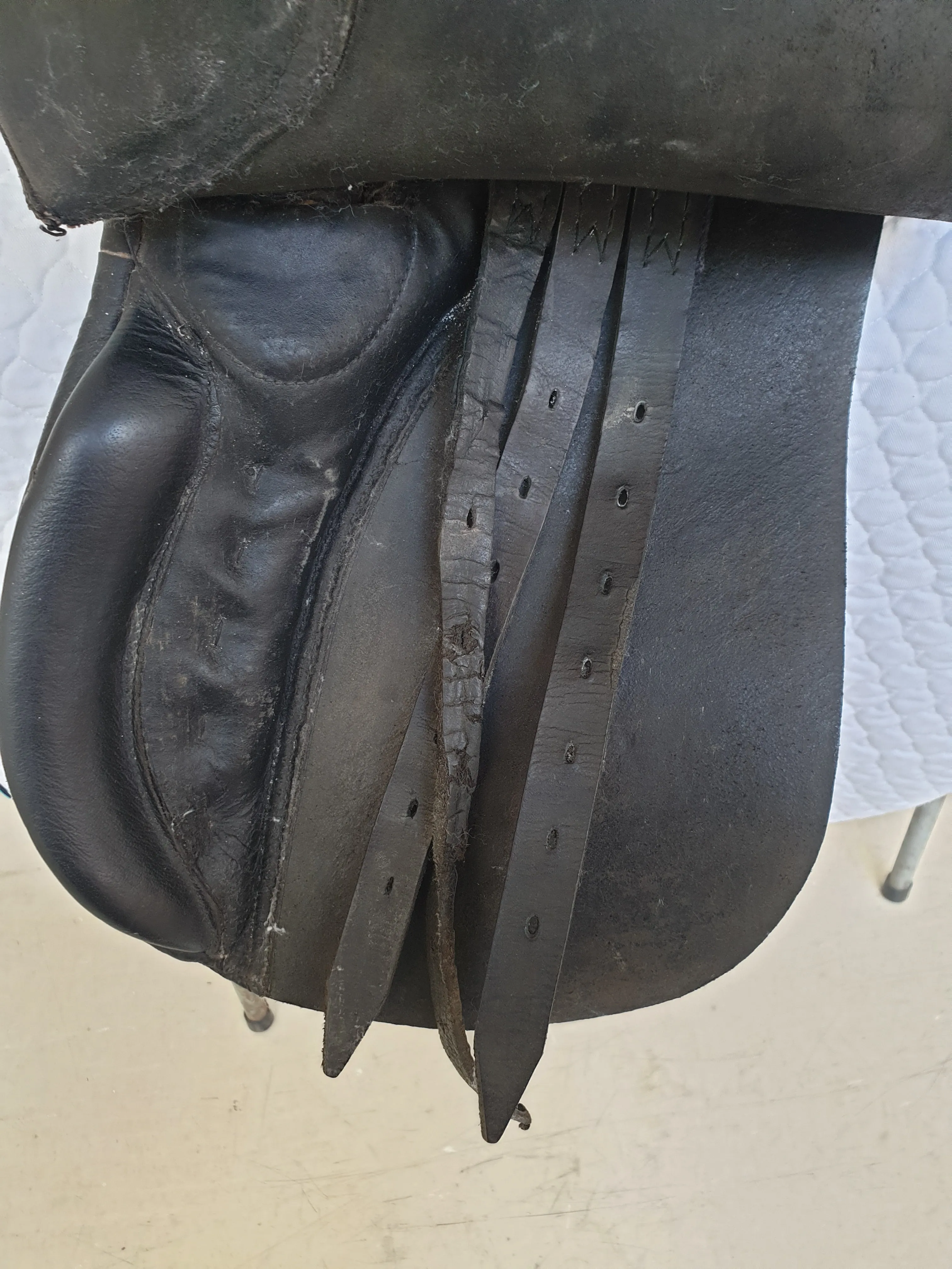 Black 17" med/wide general purpose (G P) saddle 🔵