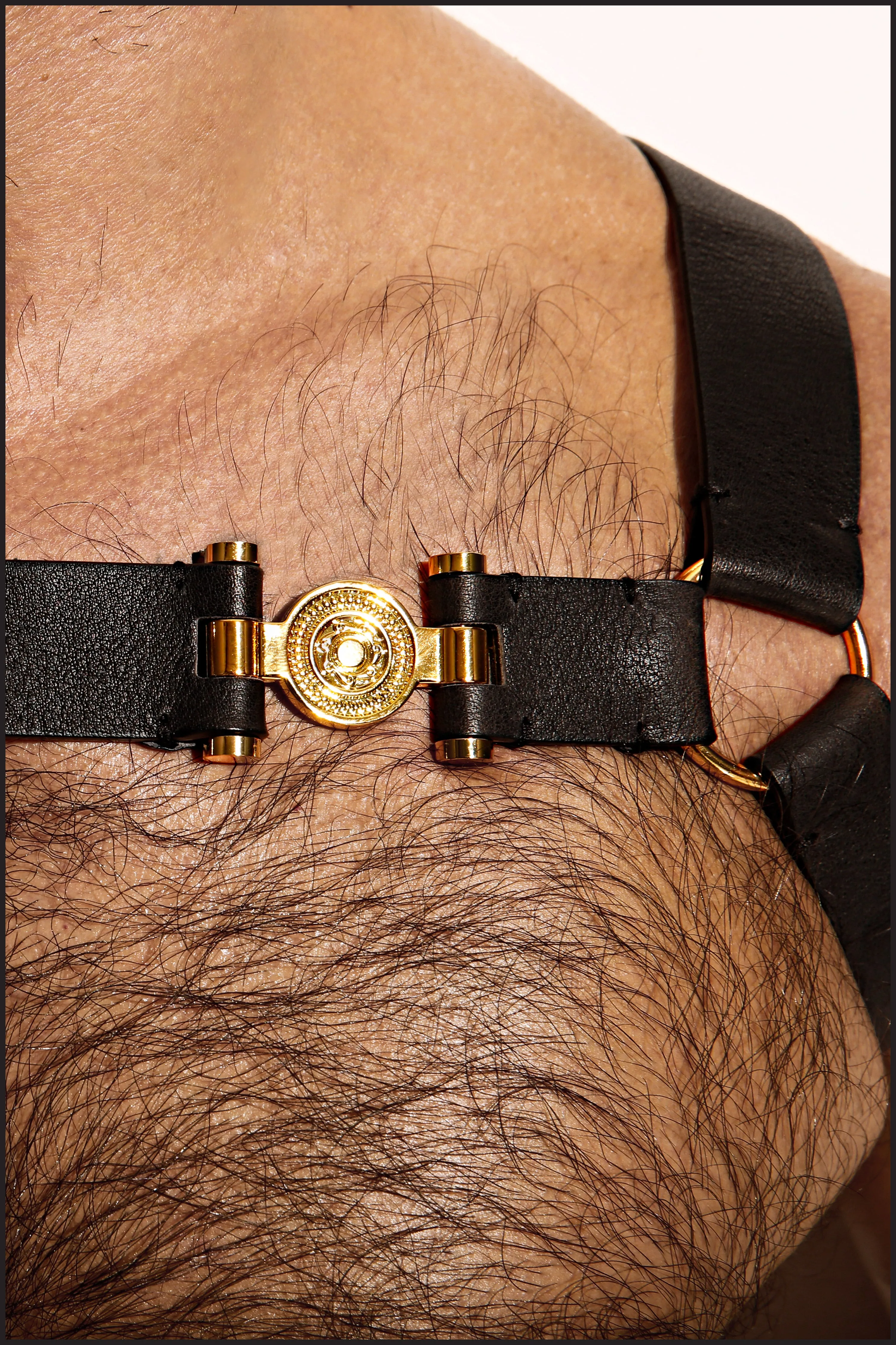 Double Grecian Harness