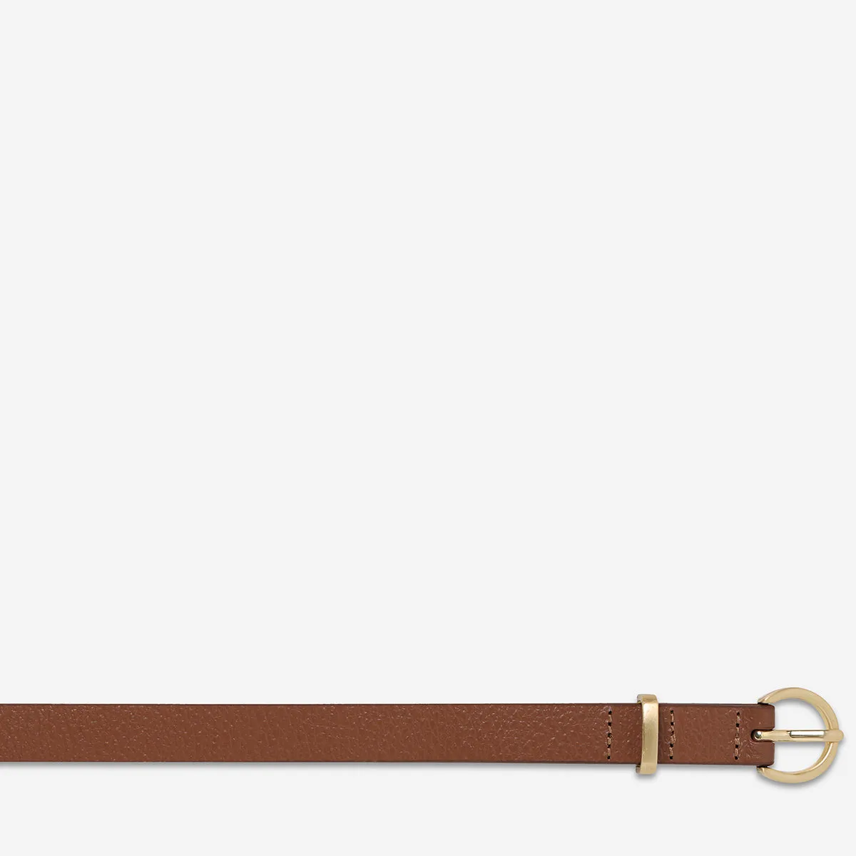 Happens All The Time Belt - Tan/Gold