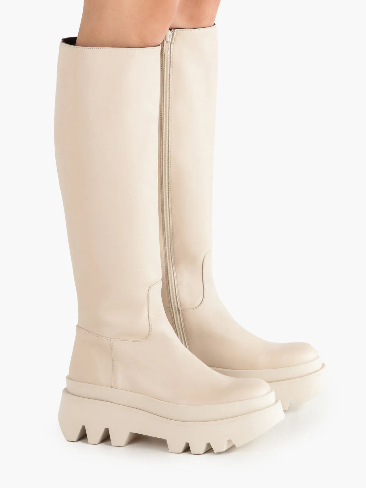 IDA | IRIS IVORY