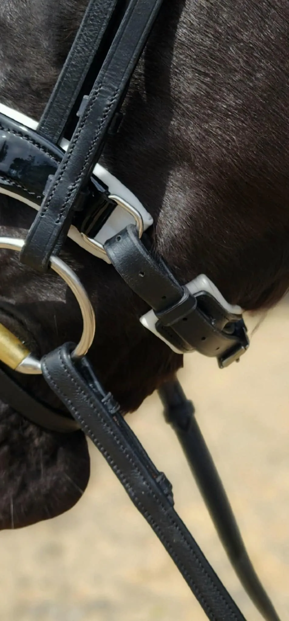 Premium Snaffle Dressage Bridle with white trim piping | Black Leather