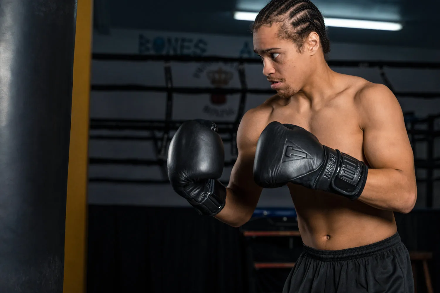TITLE Black Heavy Bag Boxing Gloves 2.0