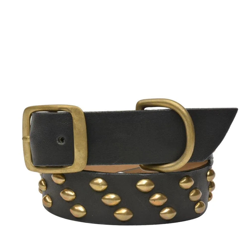 Tortuga 19" Dog Collars